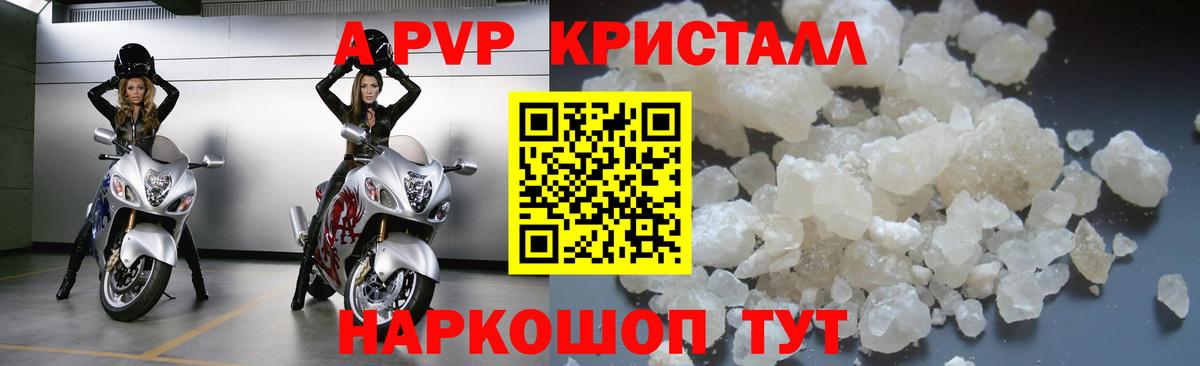 Ленинск-Кузнецкий  А ПВП СК КРИС  Alpha PVP  Вход с VPN 